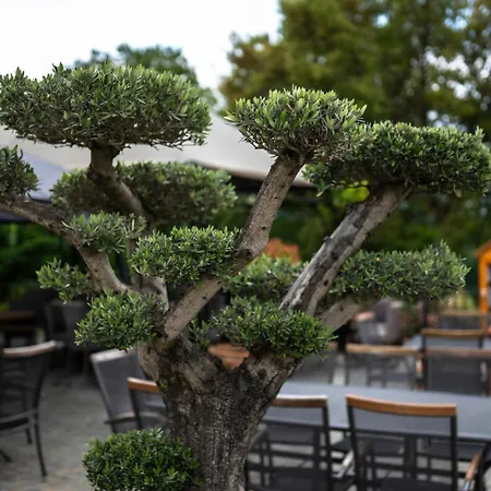 комплекс язовир валтата Komplex Yazovir Valtata Campeggio *