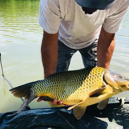 Campeggio комплекс язовир валтата Komplex Yazovir Valtata *