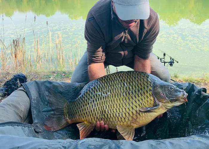 комплекс язовир валтата Komplex Yazovir Valtata Κάμπινγκ *