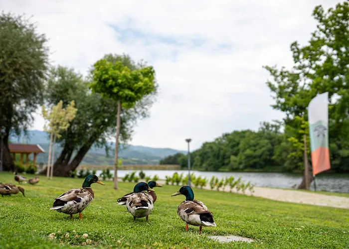 комплекс язовир валтата Komplex Yazovir Valtata * Samuilovo