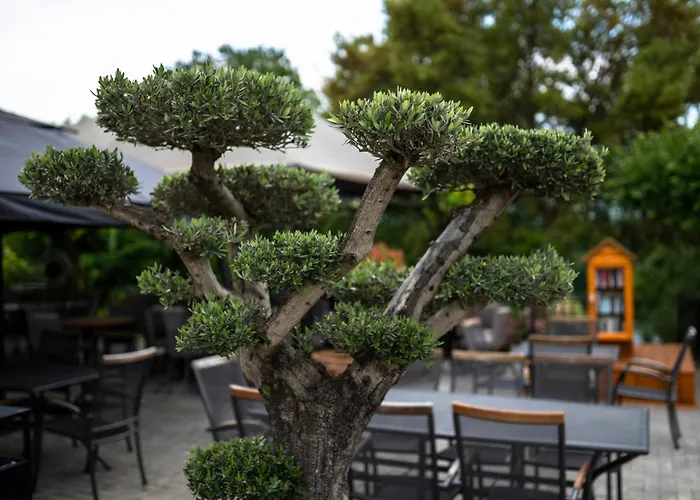 комплекс язовир валтата Komplex Yazovir Valtata Κάμπινγκ *