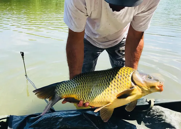 Κάμπινγκ комплекс язовир валтата Komplex Yazovir Valtata *